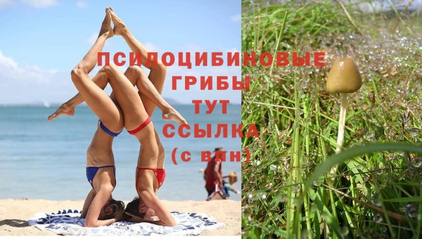 соль ск Алзамай
