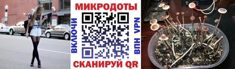 MEGA ссылки Усть-Илимск Псилоцибиновые грибы ЛСД