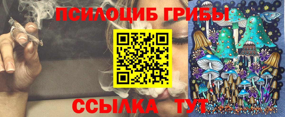 Усть-Илимск  Псилоцибиновые грибы Cubensis  Вход с VPN  Псилоцибиновые грибы мицелий 